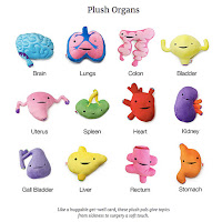 Recommended Plush Organ Animals for Science Enthusiastic Parents and Toddlers