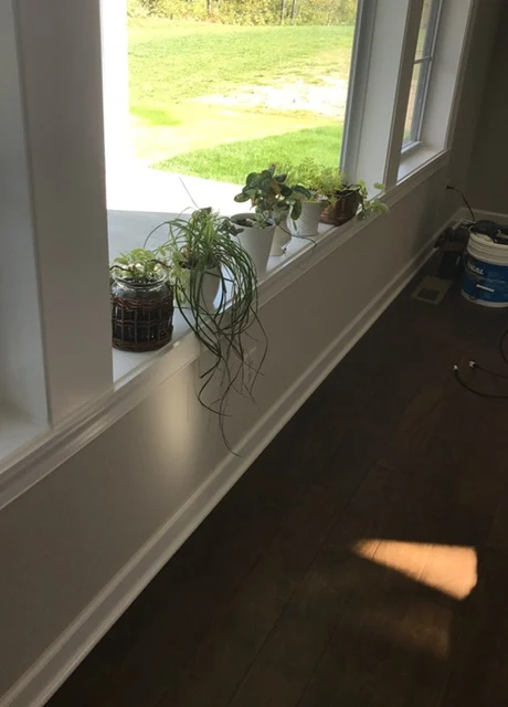 thick window sill with plants