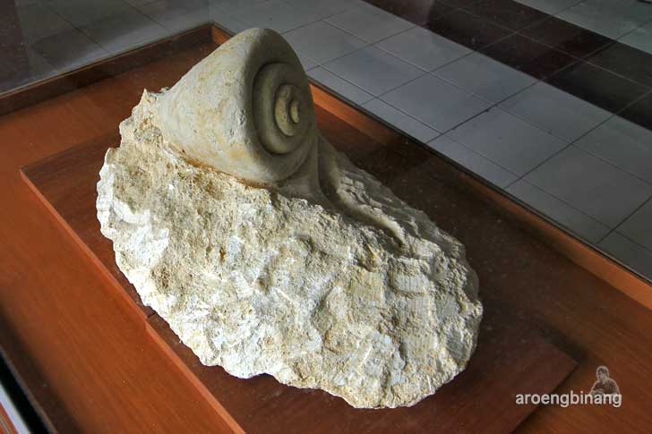 cagar alam geologi karangsambung kebumen