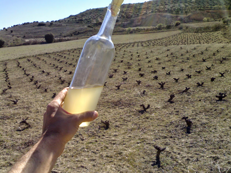 Vinos Ambiz  (Sierra de Gredos)