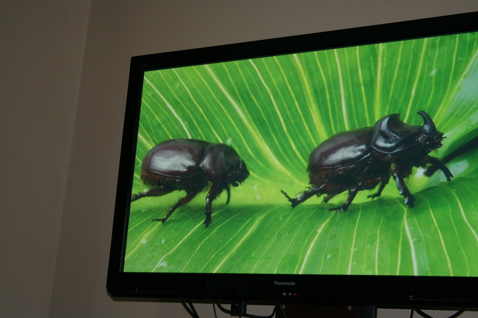 Our Country Road: TOS Review: BrainFood Learning Fascinating World of ...