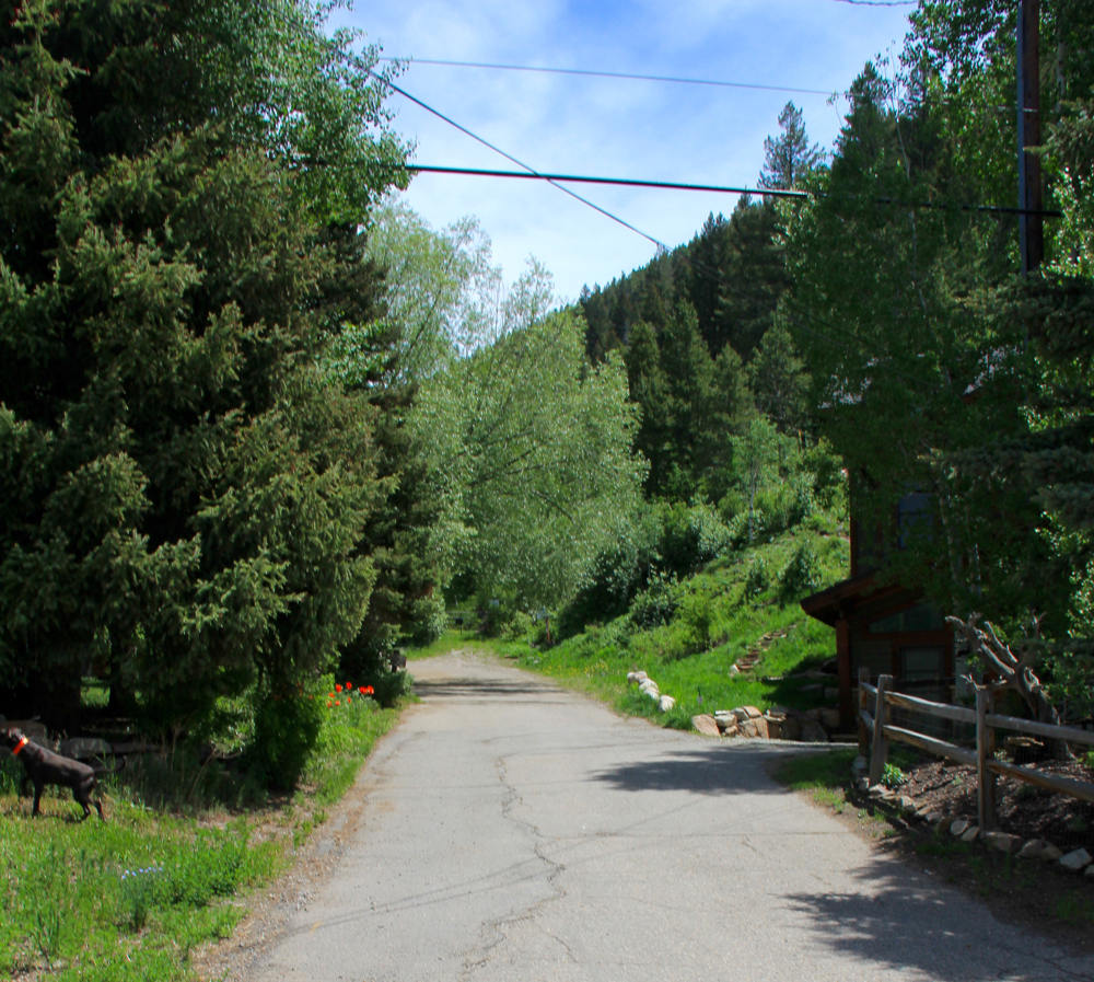 Colorado Lifestyle Game Creek