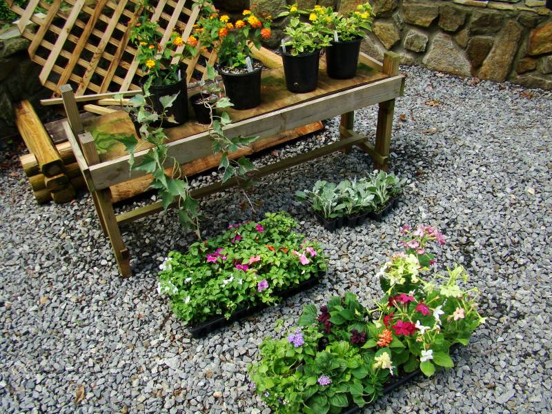 Quinns Greenhouse. McCaysville GA