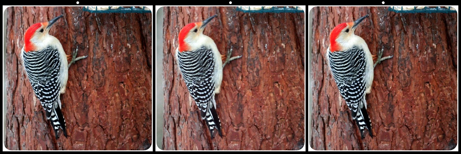 3D by DrT: Lenses for Twin Samsung NX camera rigs