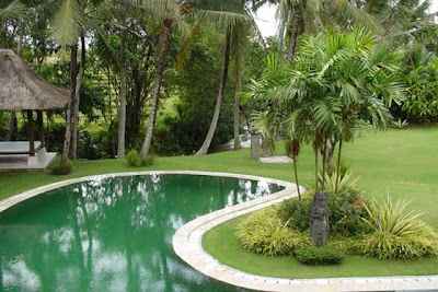 Modern Tropical Garden