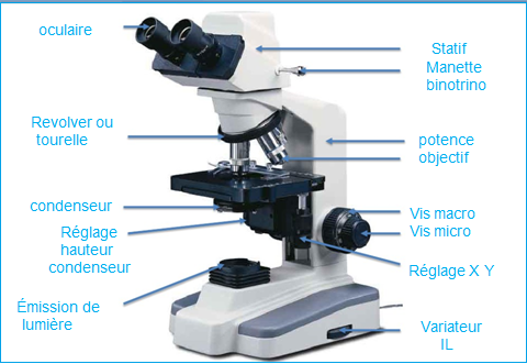 Les différents types des microscopes - Optique, Photonique, Electronique