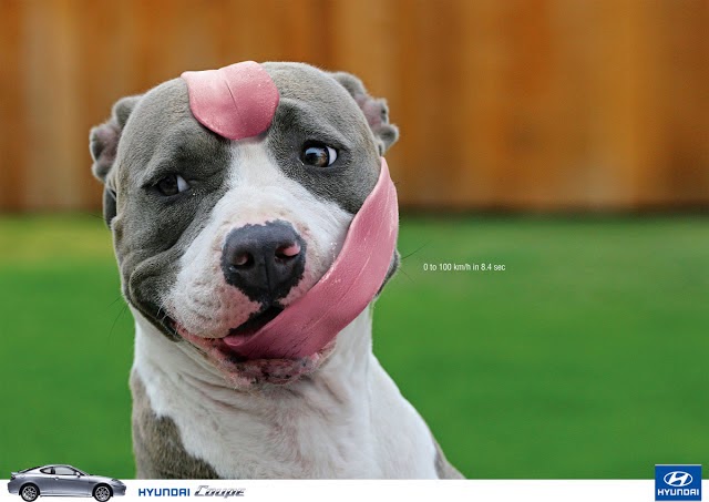 Funny Hyundai Coupe -Long tongue dog joke picture