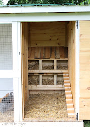 chicken nesting boxes coop chickens cozy building interior coup pretty build awesome coops pine inside shed