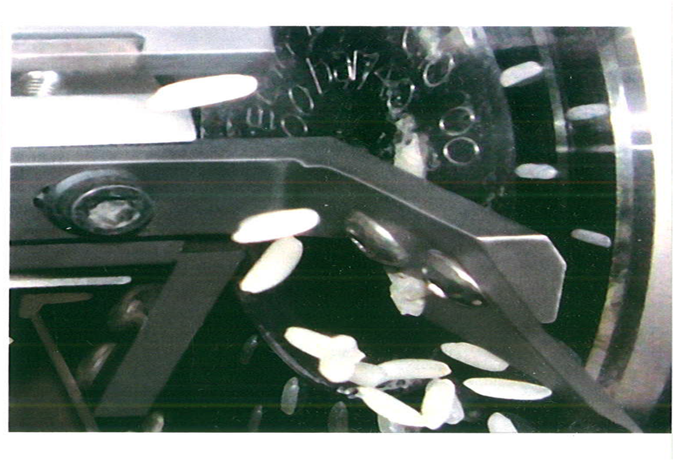 Food & Nutrition; Food Technology: Rice Fortification through Food ...