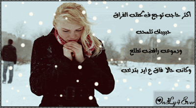 shof_045ec26e30f26f9