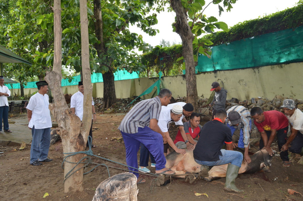 Kesdam Im Melaksanakan Pemotongan Hewan Qurban Sapi Dan Kambing