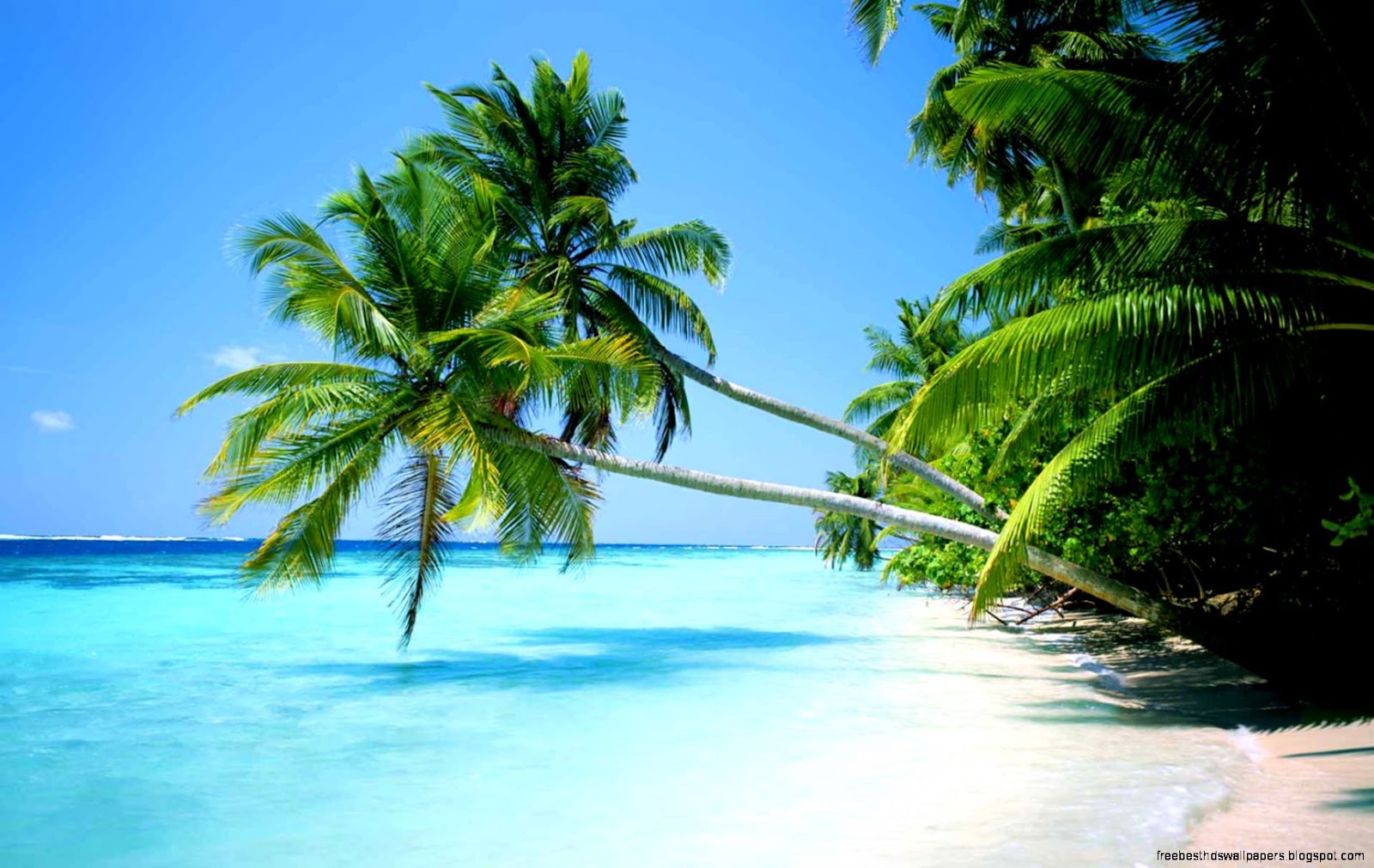 Playa Del Carmen Beach