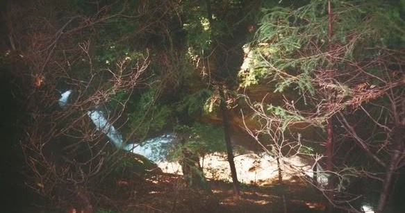 Poezie De Suflet Romanesc Mistreţul Cu Colţi De Argint Stefan Augustin Doinas