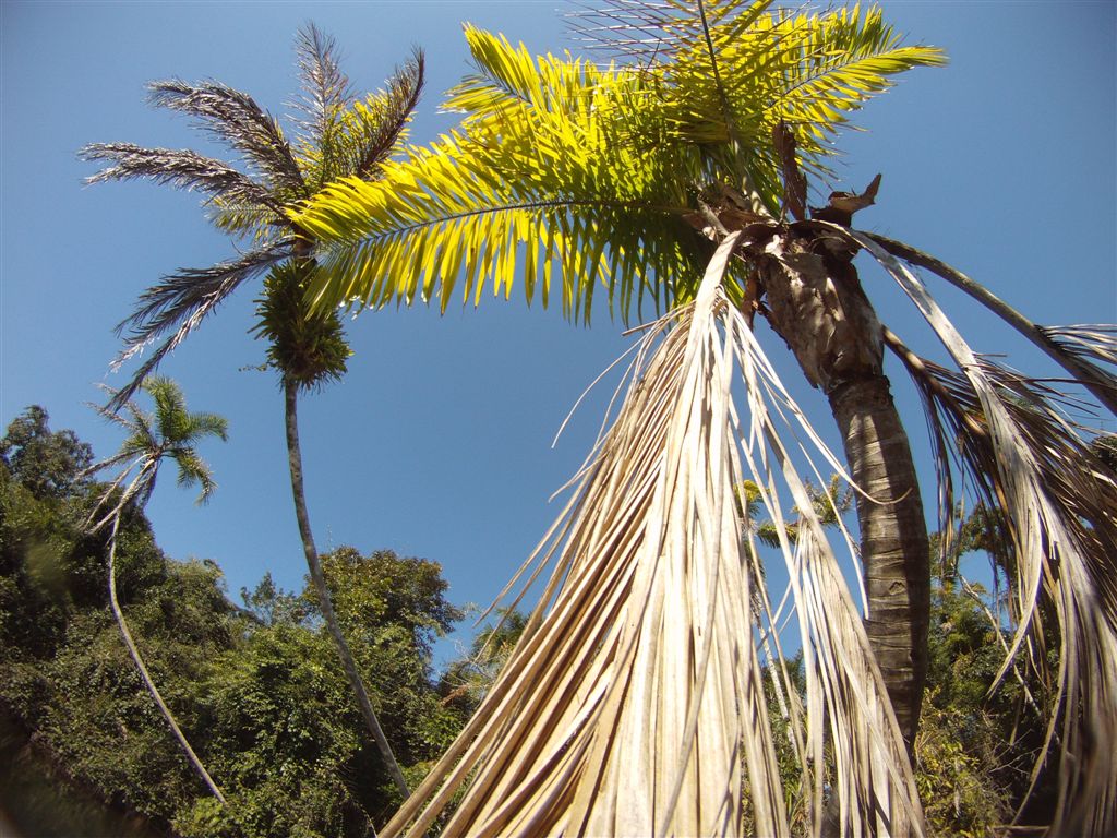 Aventuras Submarinas por Marcelo Ambrogi GOPRO hero 2 Adventure