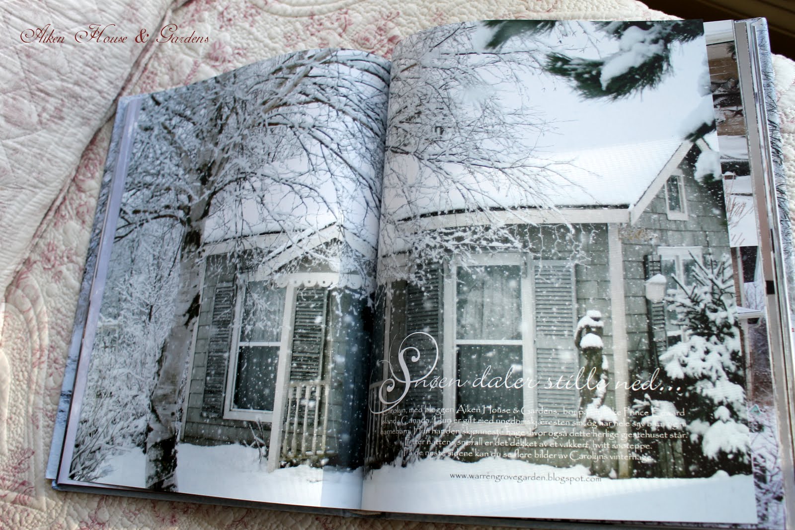 Aiken House Gardens October 12