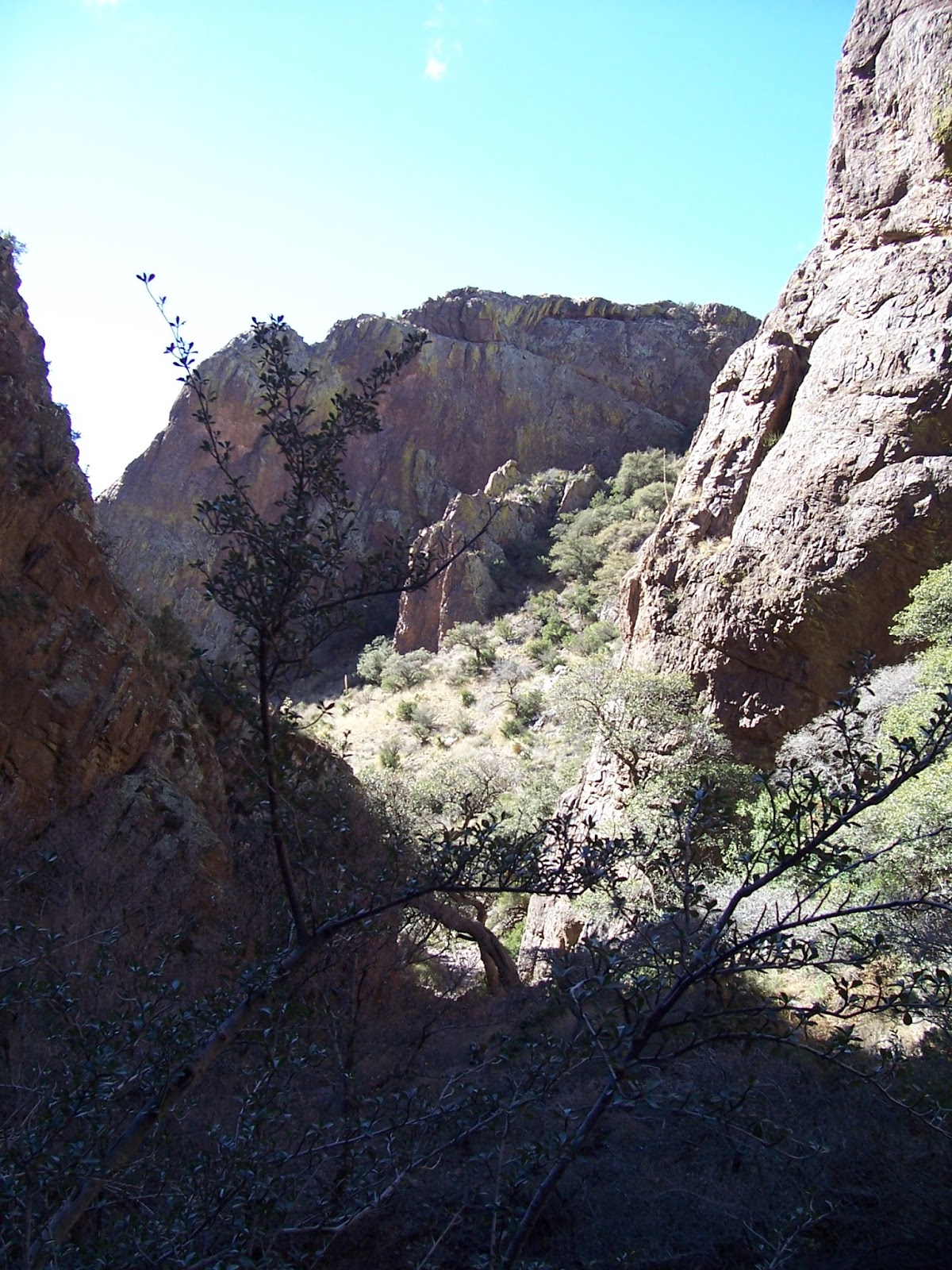Southern New Mexico Explorer Soledad Canyon, Bar Canyon Trail Organ