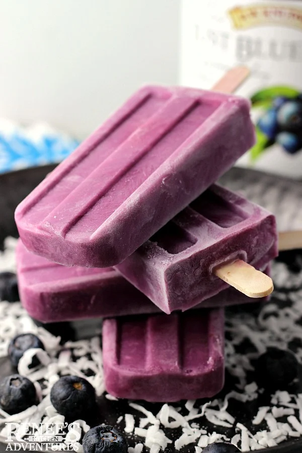 Blueberry Coconut Frozen Yogurt Bars | Renee's Kitchen Adventures