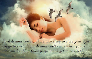 Good dreams come to those who sleep so close your eyes and go to sleep! Your dreams can’t come when you’re wide awake! Shut those peepers and get some sleep!