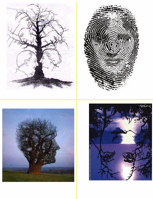 University Of North Carolina Acceptance Rate Universal Light Expo