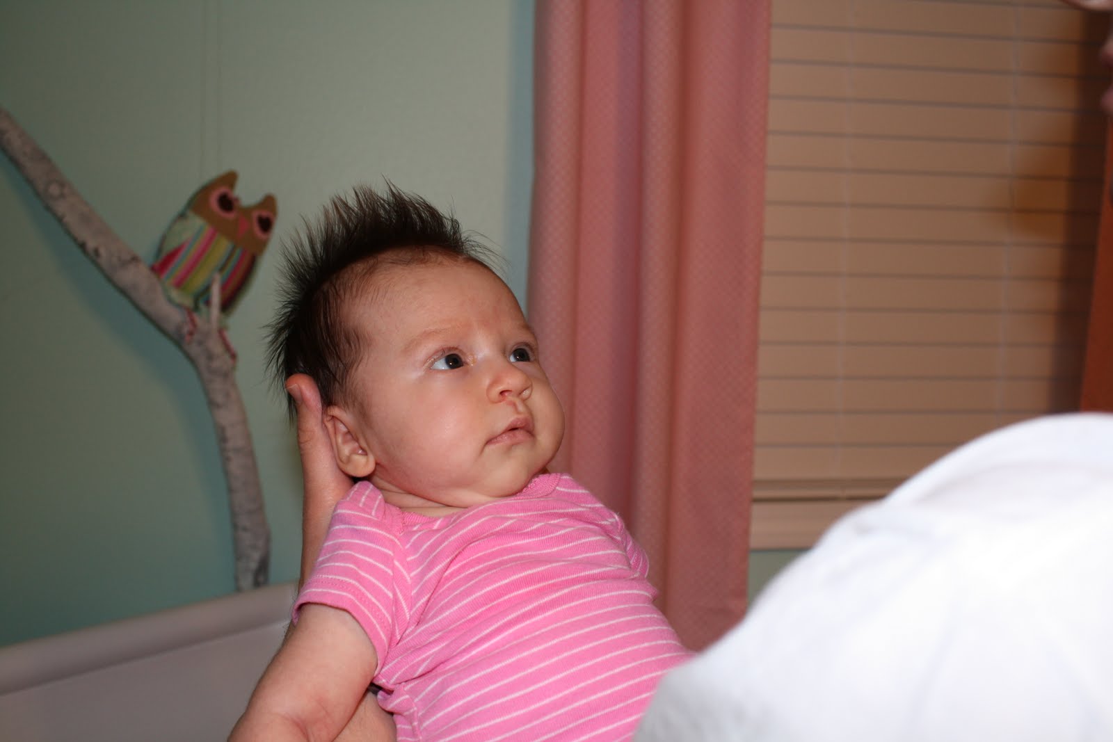 Keeping Up With The Bandermann's: April 2011
