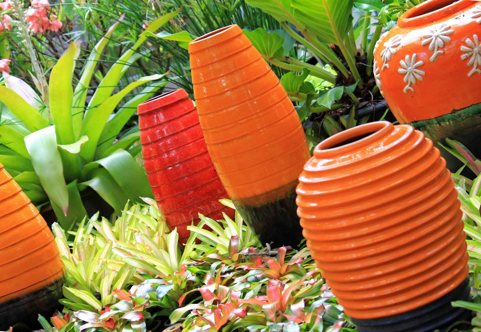 Garden Living Studio Make Your Garden Pop with Colorful Pots