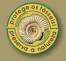 Os fósseis são parte da Natureza