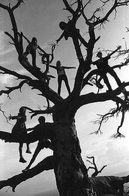 Instant Views [o.] Kids / Climb a tree | Photos by Thomaz Farkas / Sigmar Polke / Sabine Weiss / Koo Wangsam