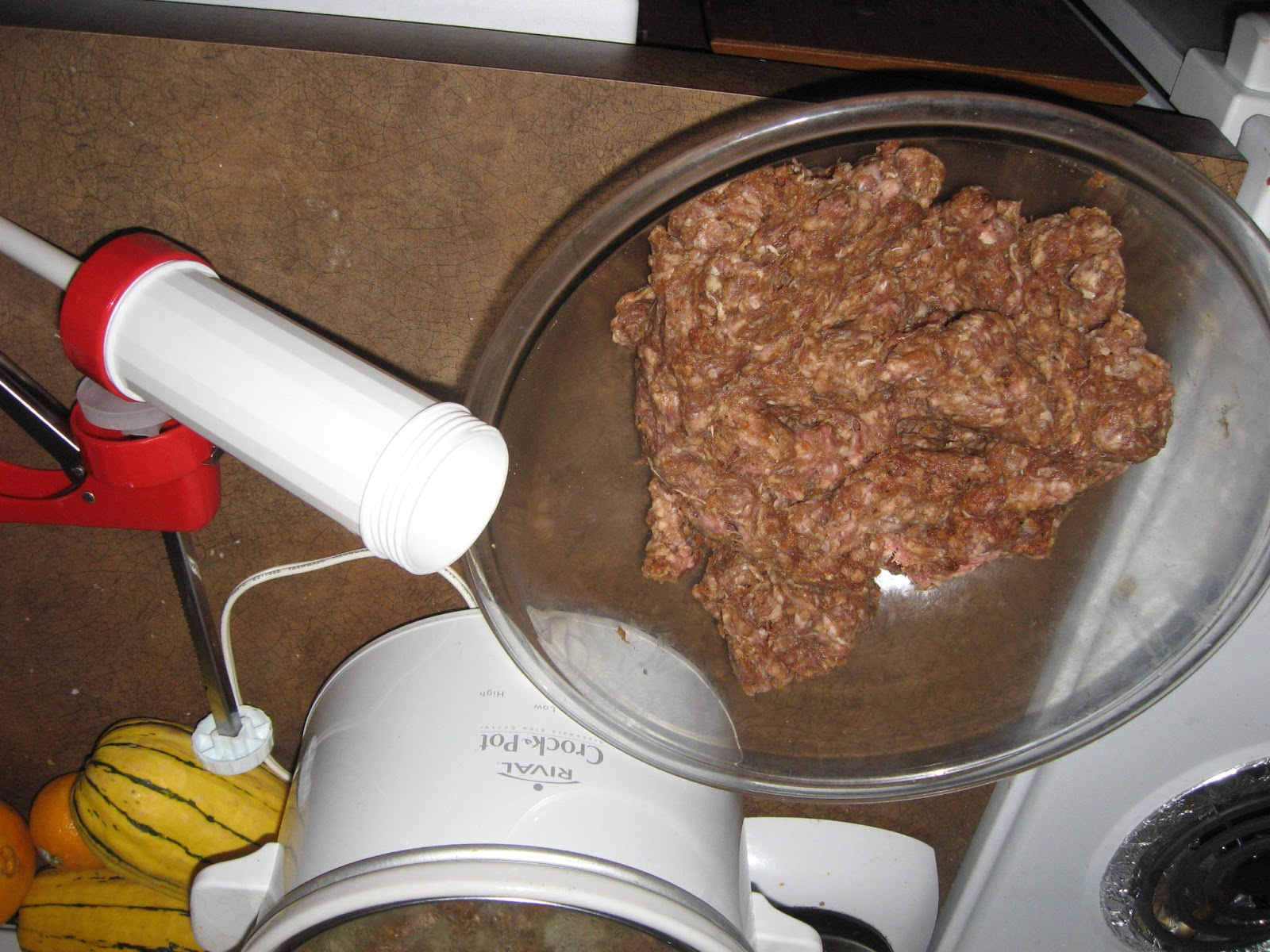 Dual Domestication Beef Jerky