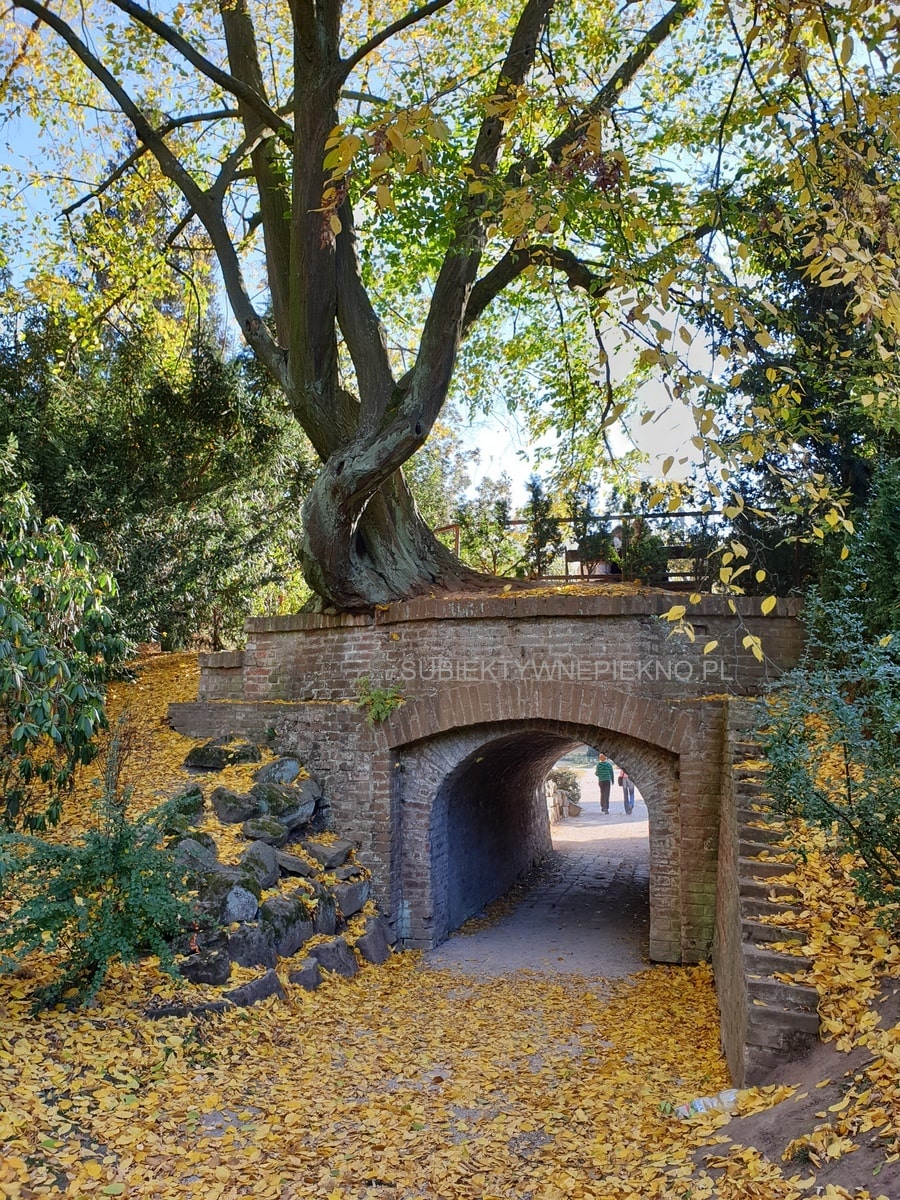 Hradec Kralove co zwiedzić? Parki