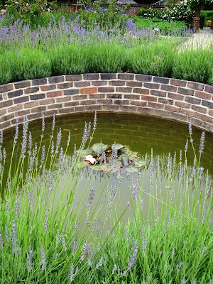 Pond at Winterbourne House