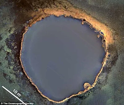 The brine pool of the Gulf of Mexico found in 2014.