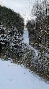 Our ski slope and driveway...well part of it!