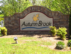 Autumn Brook