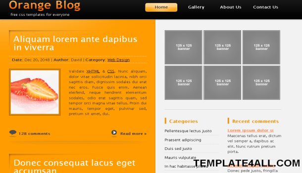 CSS Orange Black Business Website Template