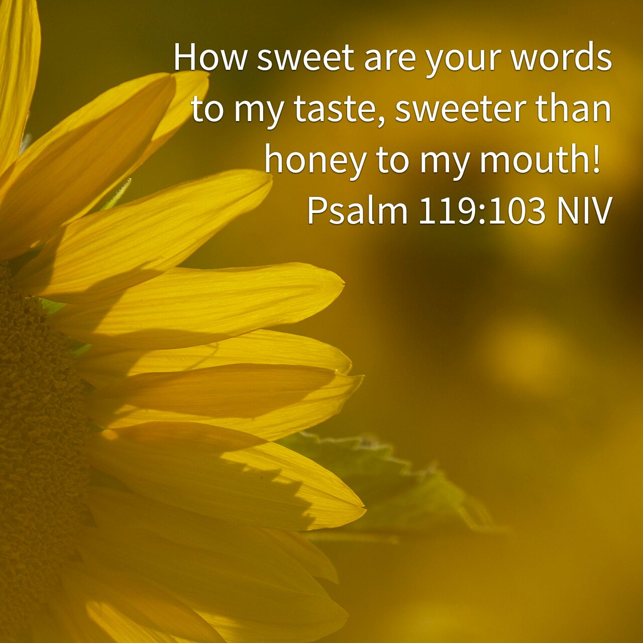 First Fruits Of The Day Psalm 119 103 Sweet first-fruits-of-the-day-psalm-119-103-sweet