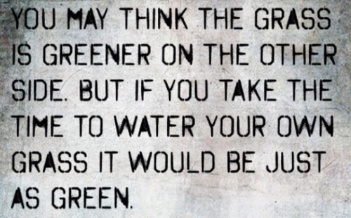 You May Think The Grass Is Greener On The Other Side - But If You Take The Time To Water Your Own Grass it Would Be Just As Green