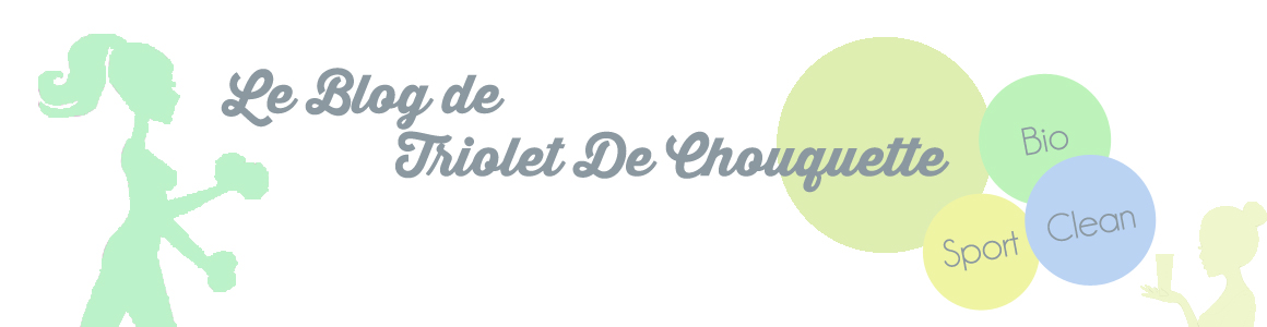 Le Blog de Triolet De Chouquette
