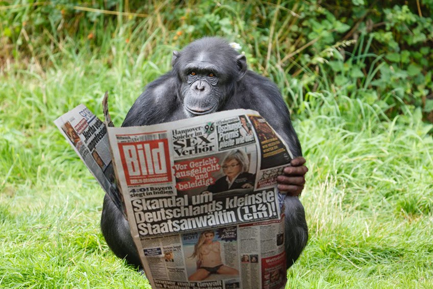 Der Postillon: Wissenschaftliche Sensation: Schimpanse kann "Bild