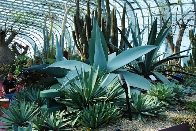 Gardens By The Bay 
