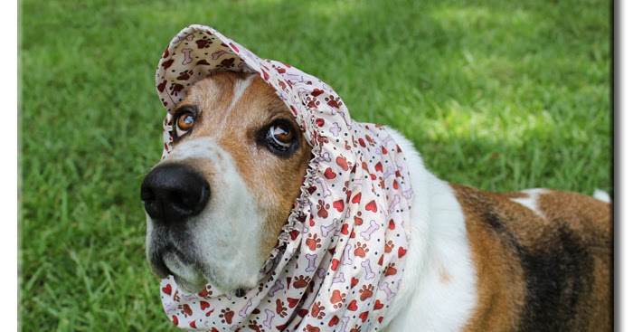 Bark Snood