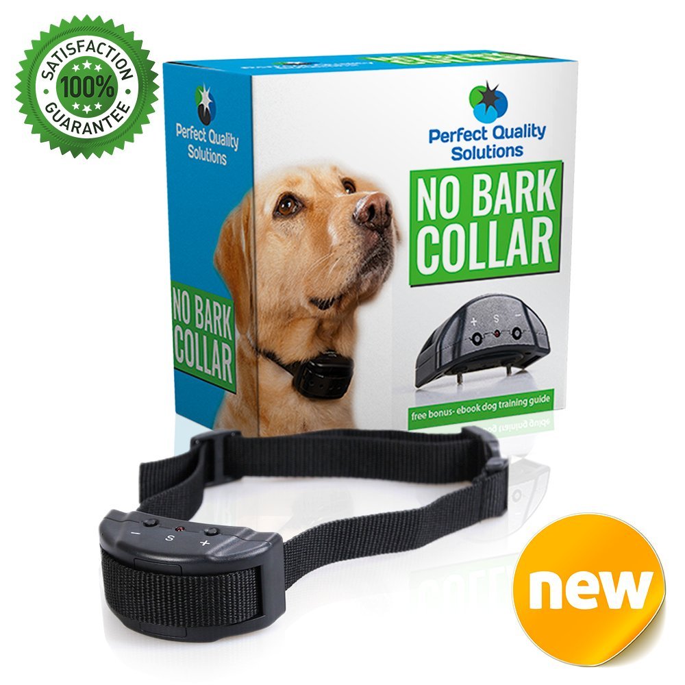 My "Must Have" Product Reviews Perfect Quality Solutions No Bark Collar