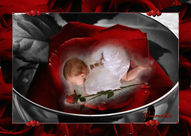 Fantasia Creativa BUONANOTTE GIF jpg (640x458)