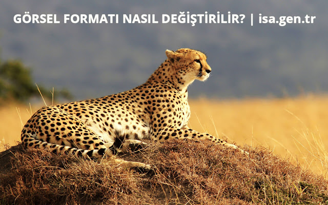 görsel formatı değiştirme