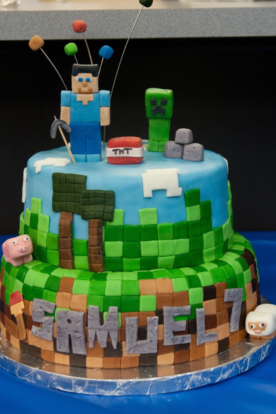 Pink Bluebonnet: Minecraft Cake