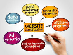 Monetization options for a niche blog.