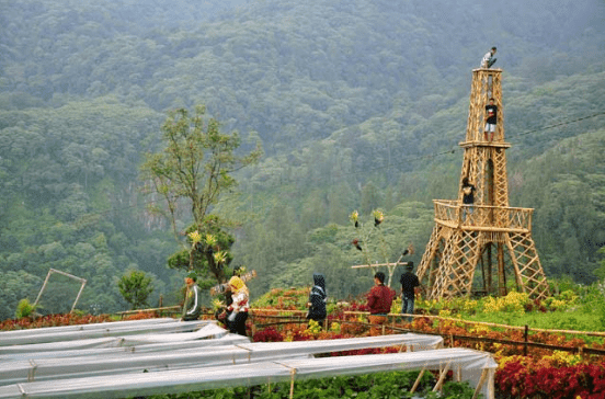 Tempat Wisata Sekitar Pacet Dan Trawas