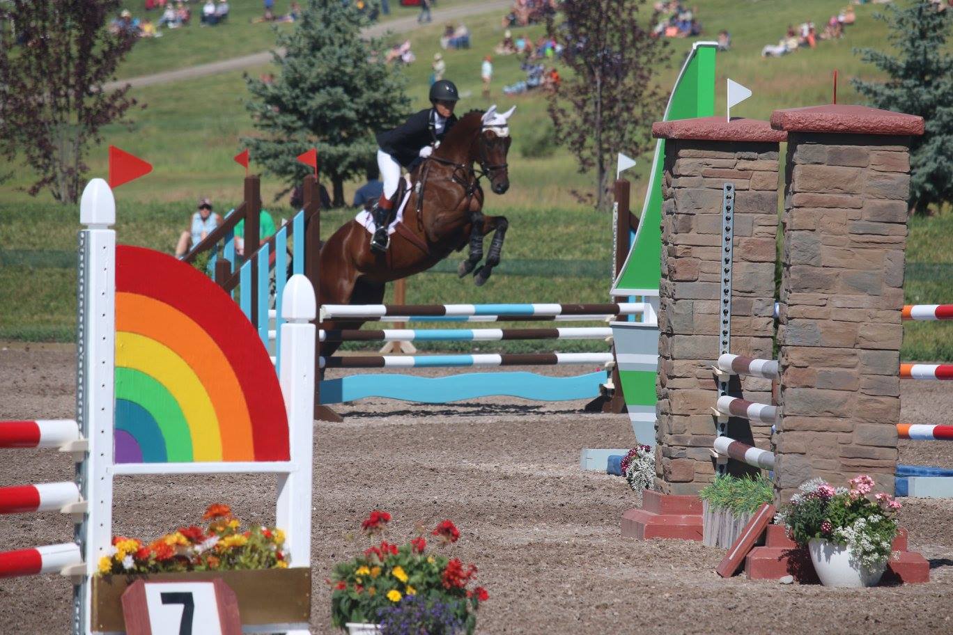 Dragonfire Farm It's A Punch For Stoneman DF and Be Real At