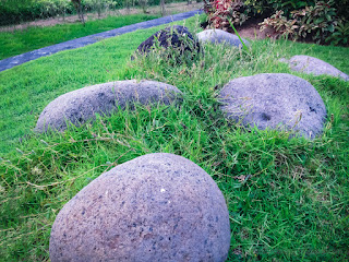 Sweet Ornamental Grass And Stones View In The Garden Of The Park