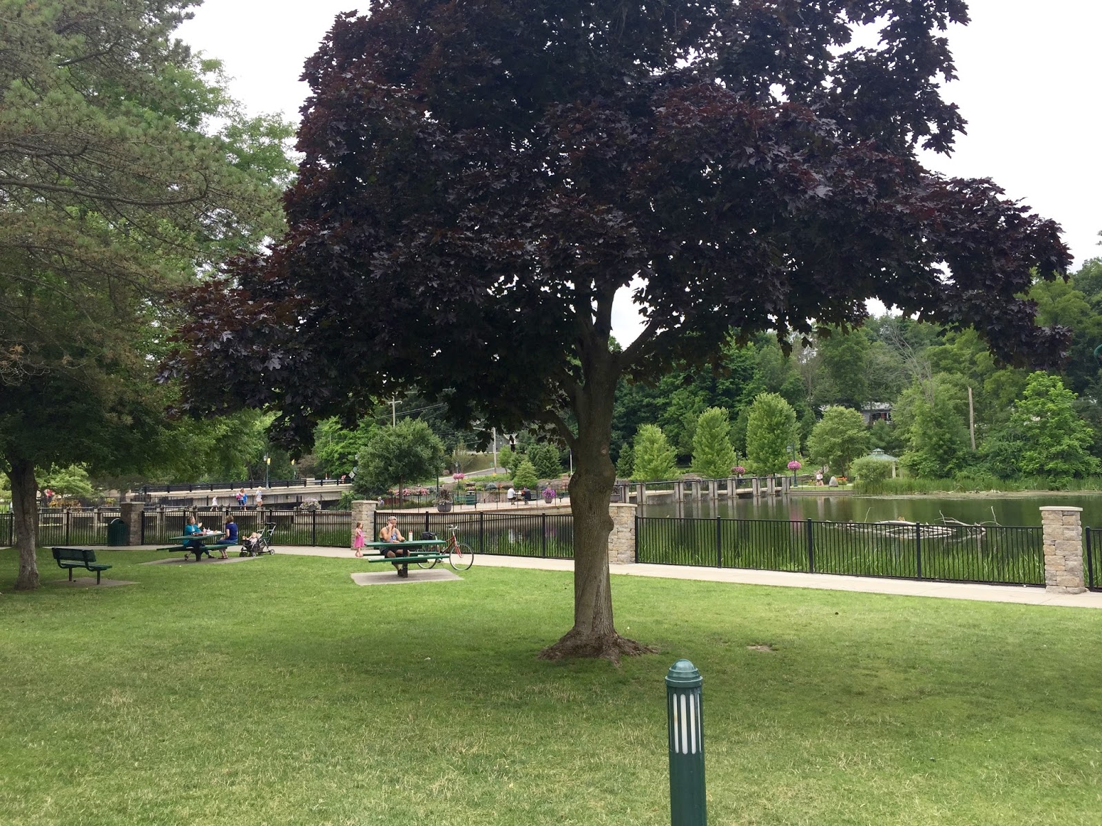 Along the Way White Pine Trail Comstock Park to Rockford (MI)
