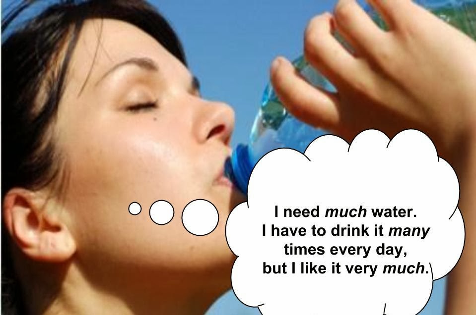 Essential English Grammar A few more information about nouns.